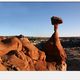 Toadstool Hoodoo