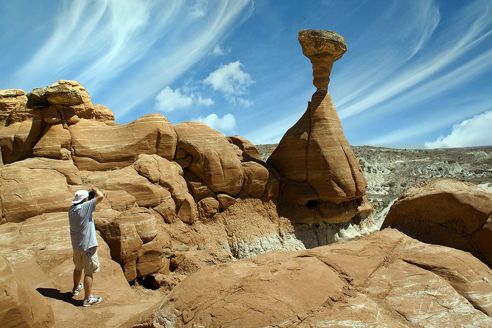 Toadstool Hoodoo