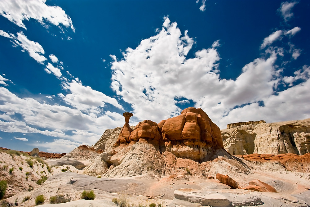 Toadstool Hoodoo II