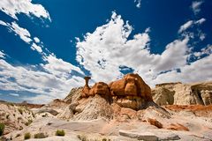 Toadstool Hoodoo II