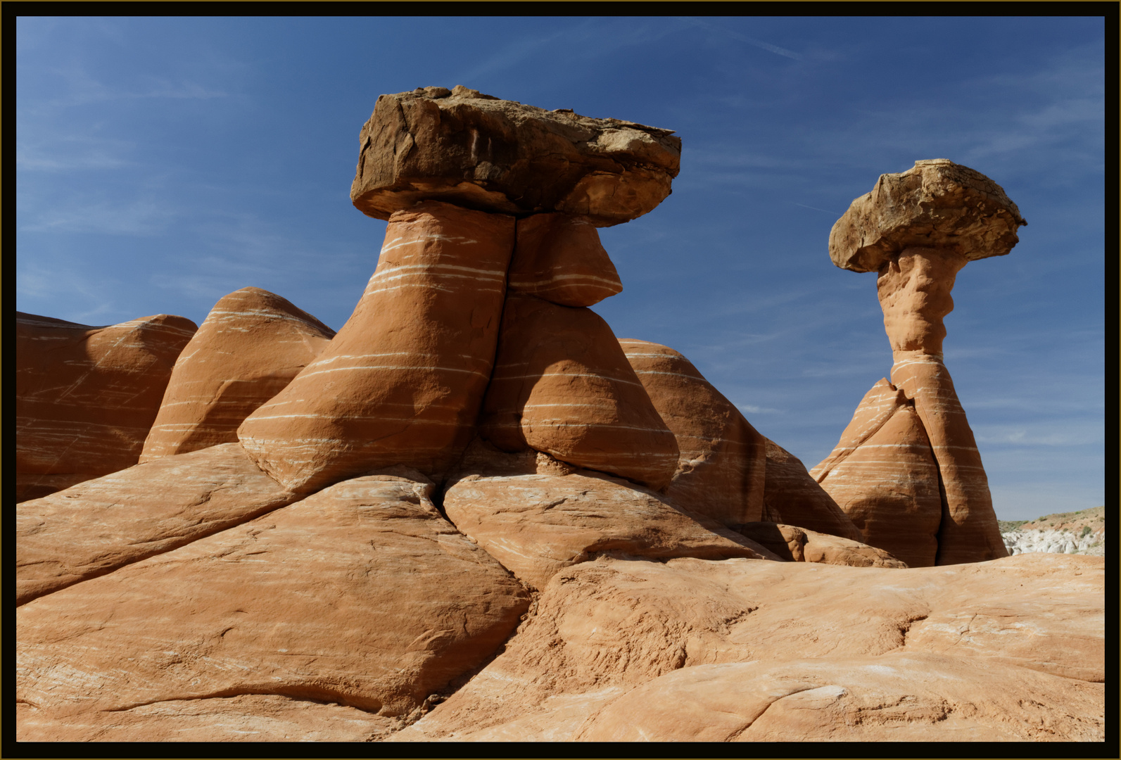 Toadstool Hoodoos