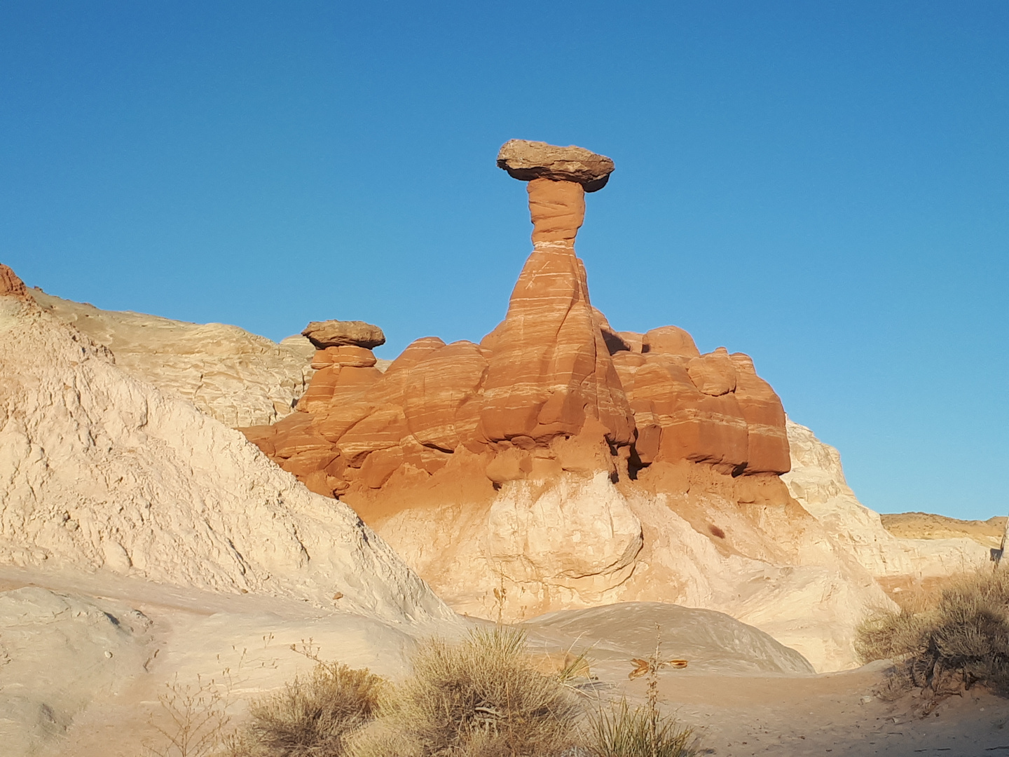 Toadstool  Hoodoos bei Page 