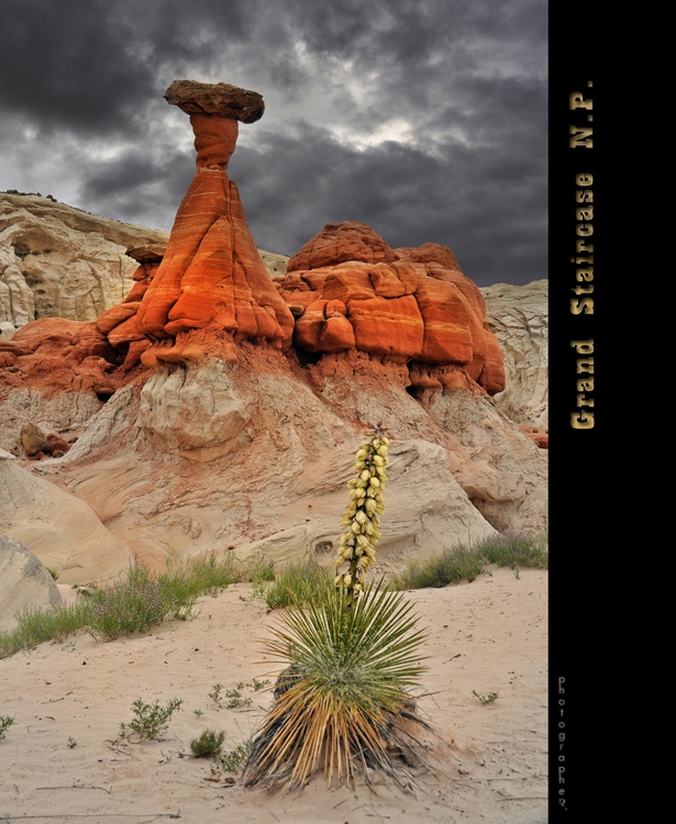 Toadstool Hoodoos