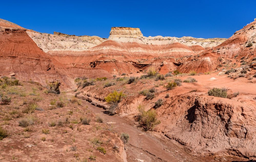 Toadstools Trail, Paria Rimrocks, Utah, USA