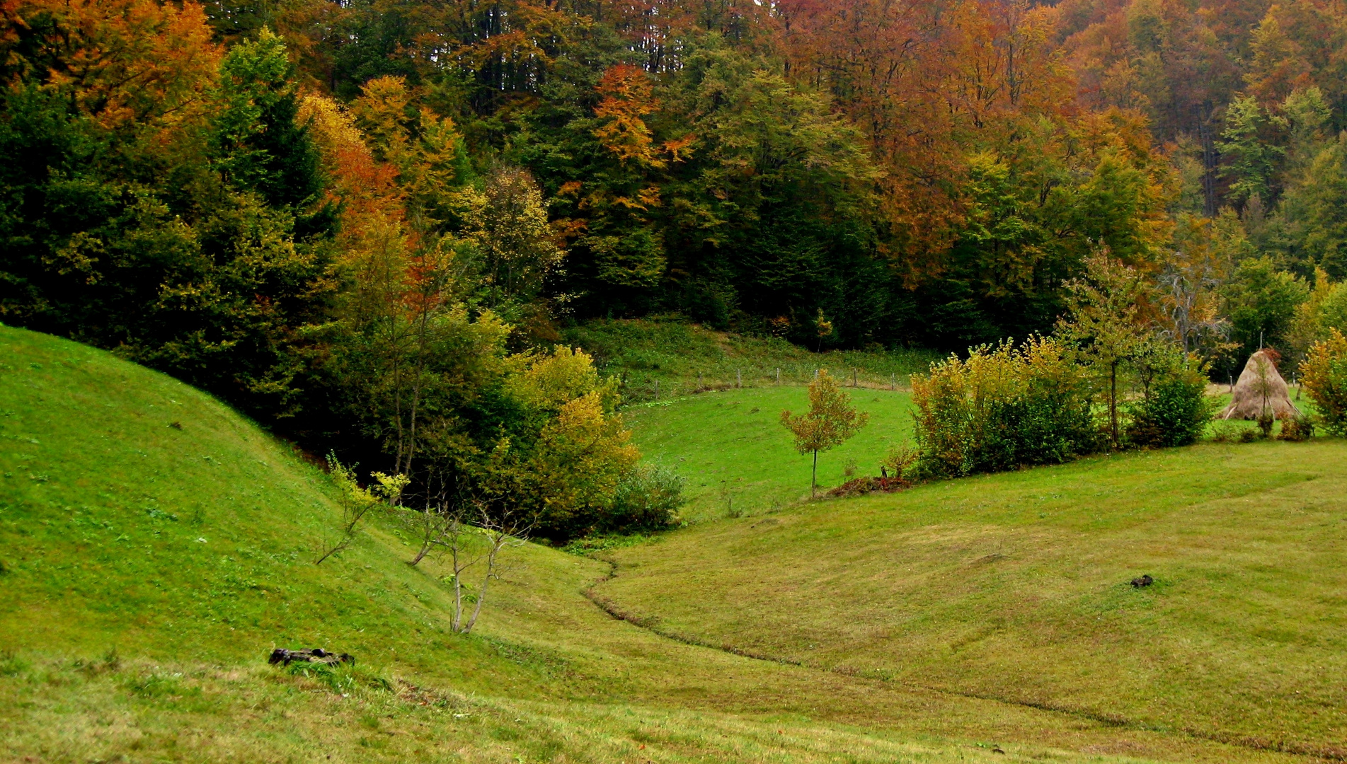 Toamna in Maramures