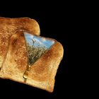 toast...