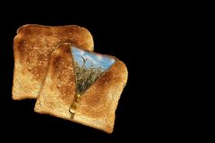 toast...