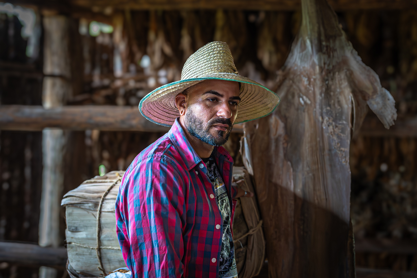 Tobacco farmer