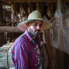 Tobacco farmer