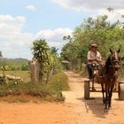 Tobacco farmer