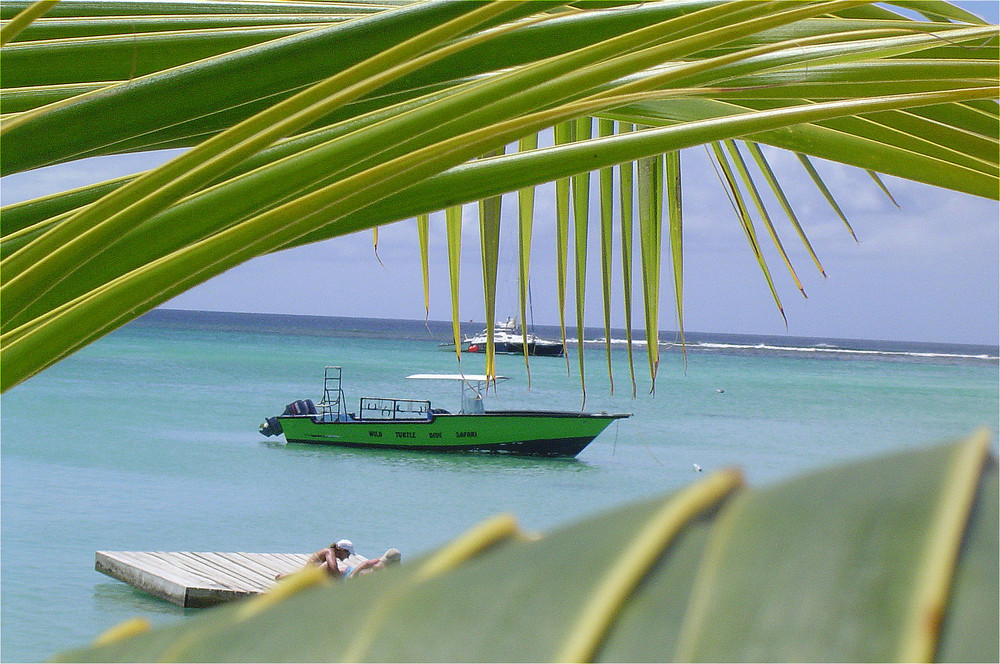 Tobago Boat