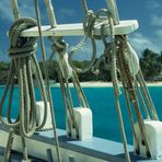 Tobago Cays (Karibik)