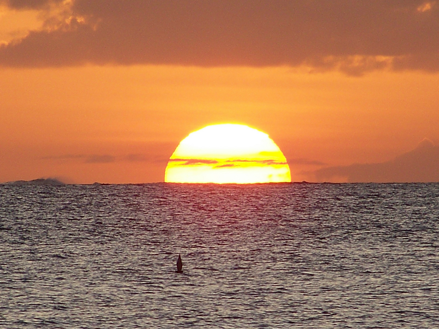 Tobago Irvine Bay