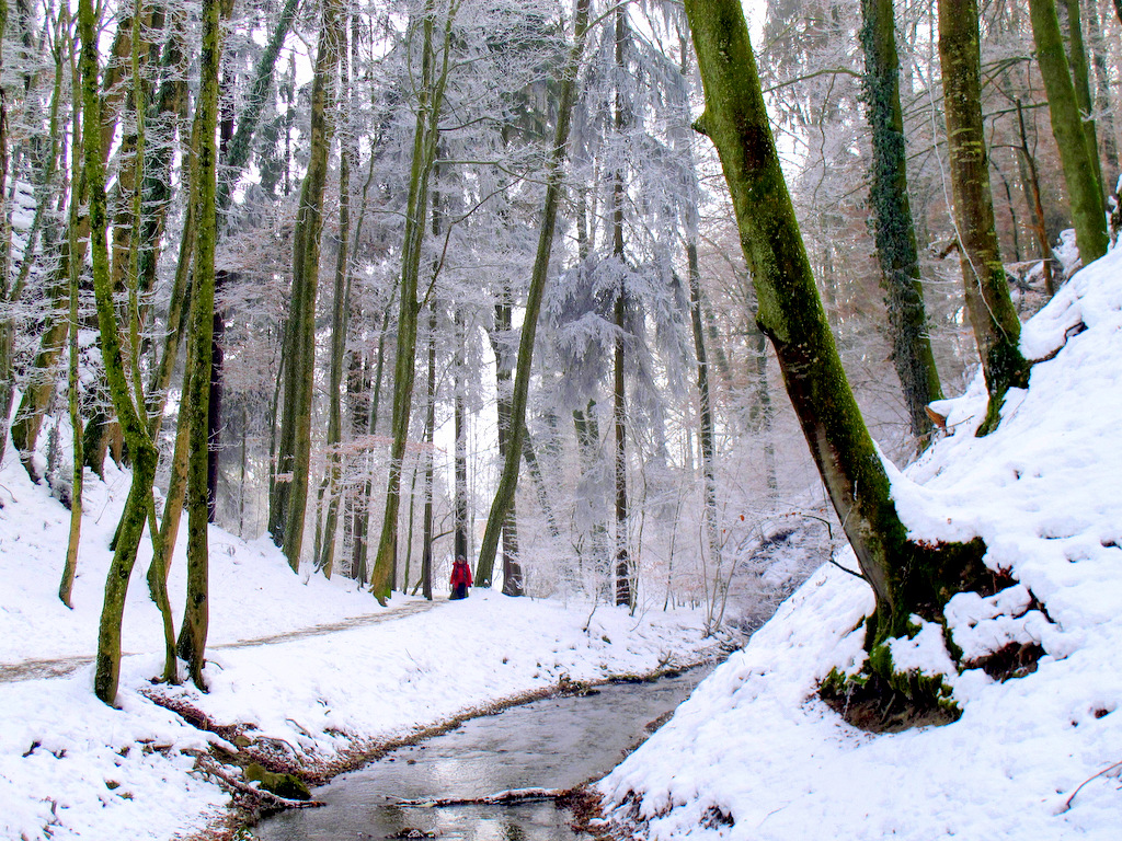 Tobel beim Lützelsee