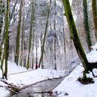 Tobel beim Lützelsee