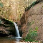 Tobelbach im Herbst