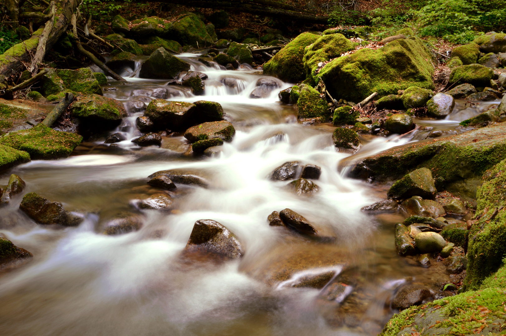 Tobelbach - Meisterschwanden