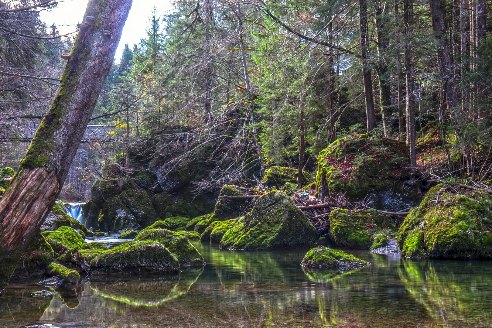 Tobelwanderung im Herbst