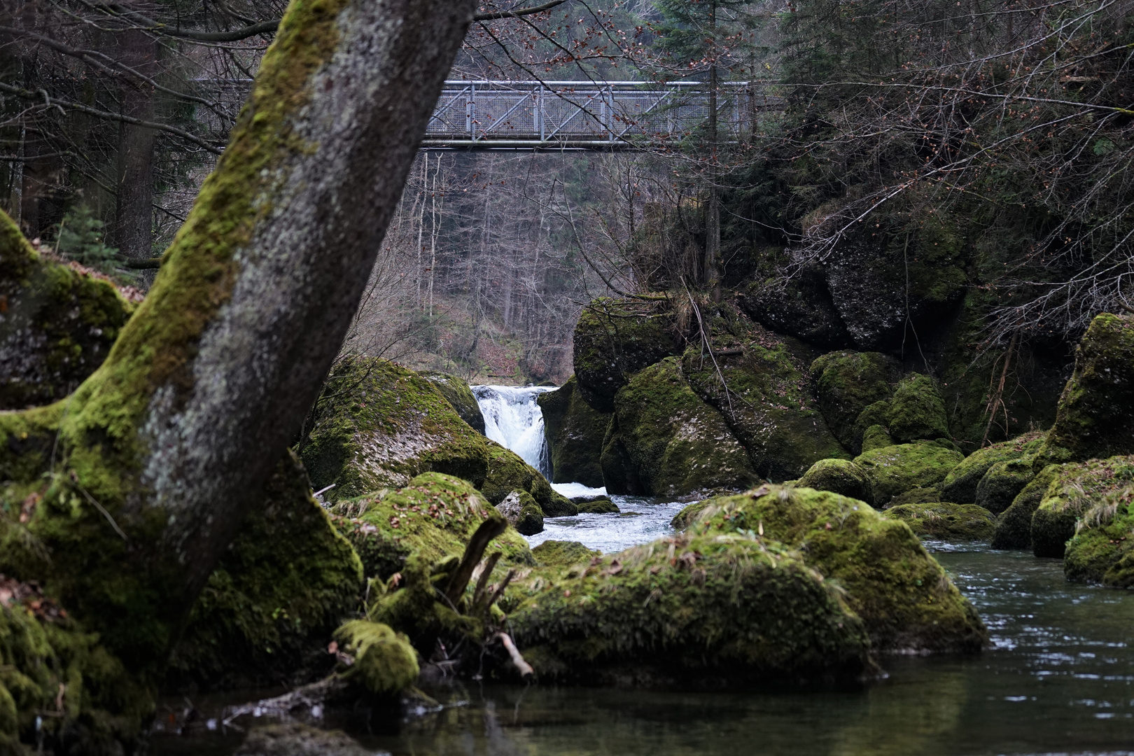 Tobelweg