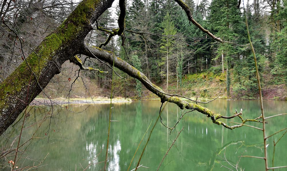 Tobelweiher ( Spiegeltag) 