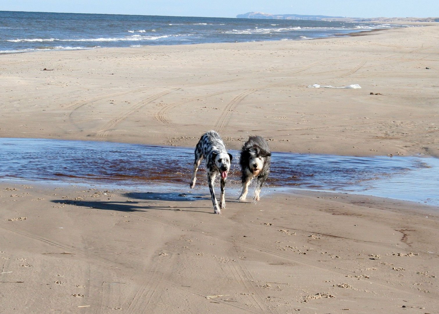 Toben im Doppelpack