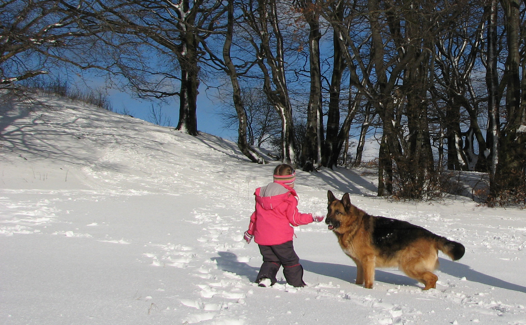 Toben im Schnee