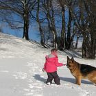 Toben im Schnee