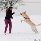 Toben im Schnee