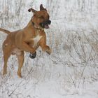 toben im Schnee mit noch mehr Power