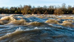 Tobender Rhein