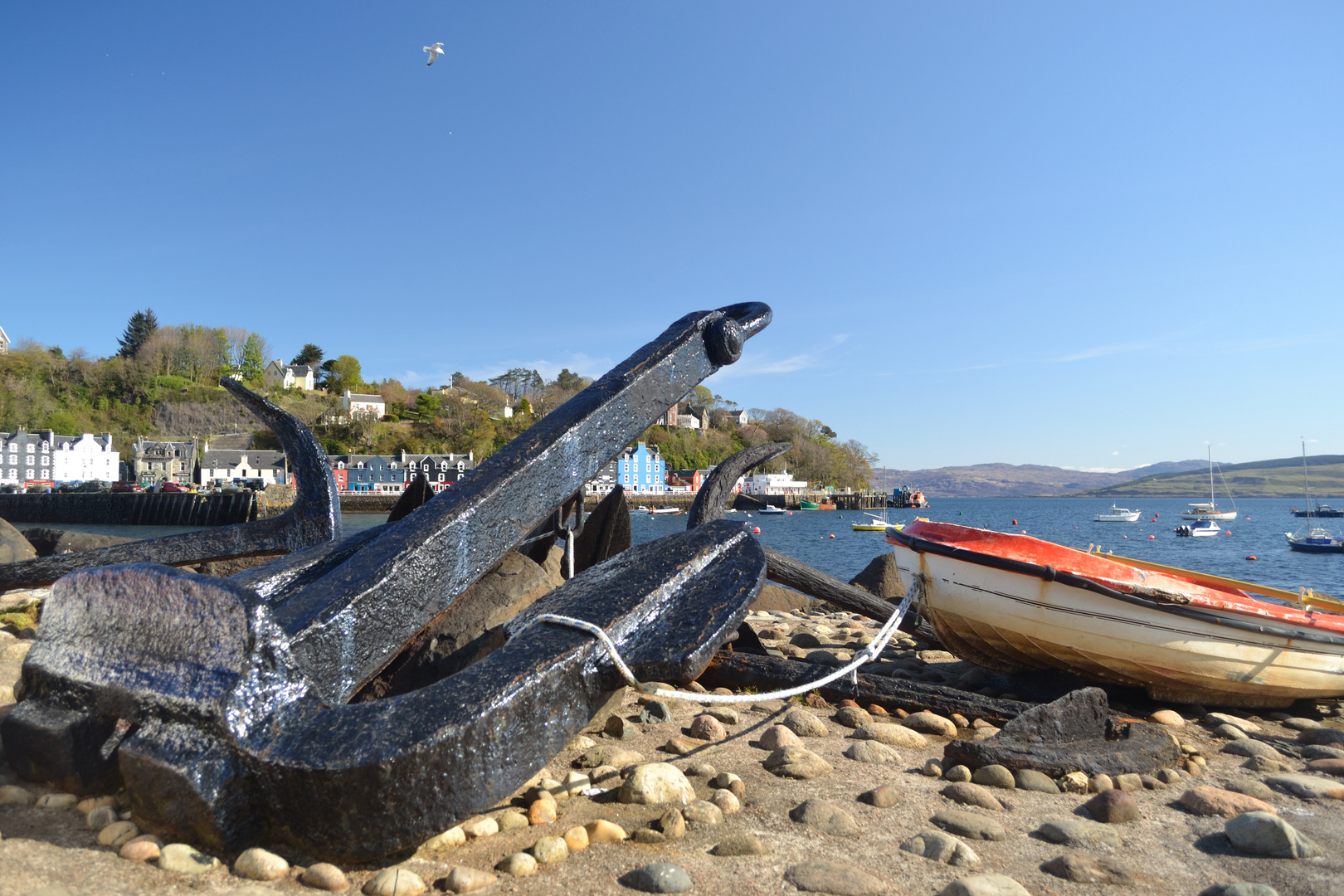 Tobermory Anchor