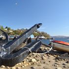 Tobermory Anchor