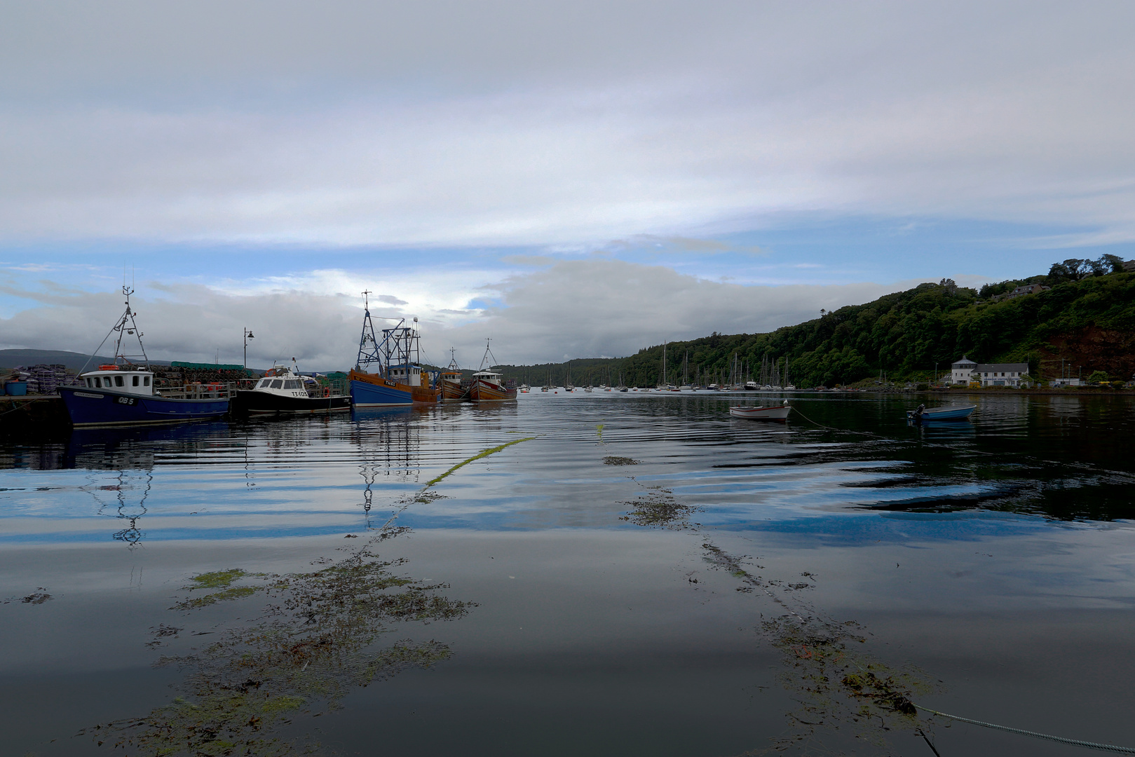 Tobermory harbour