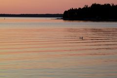 Tobermory I