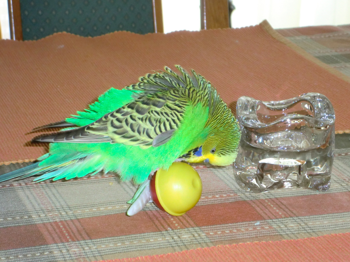 Tobi mit seinem kleinen Freund