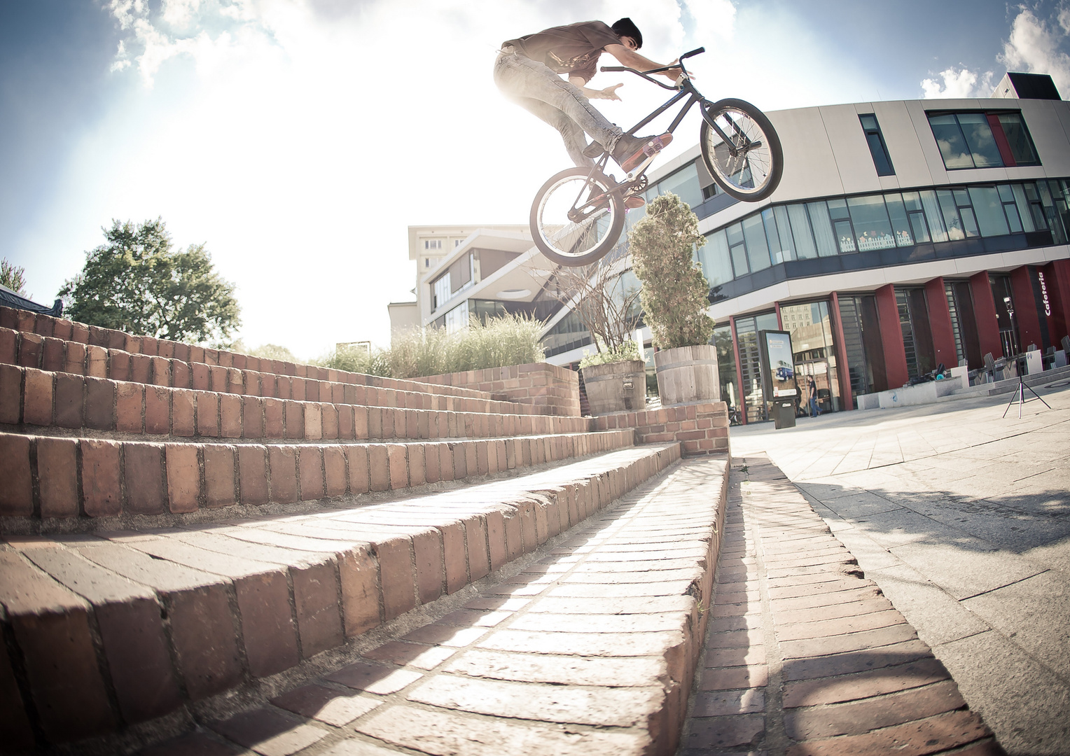 Tobias - Barspin