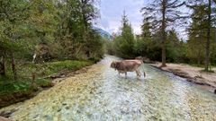 Toblacher See Wasserweg