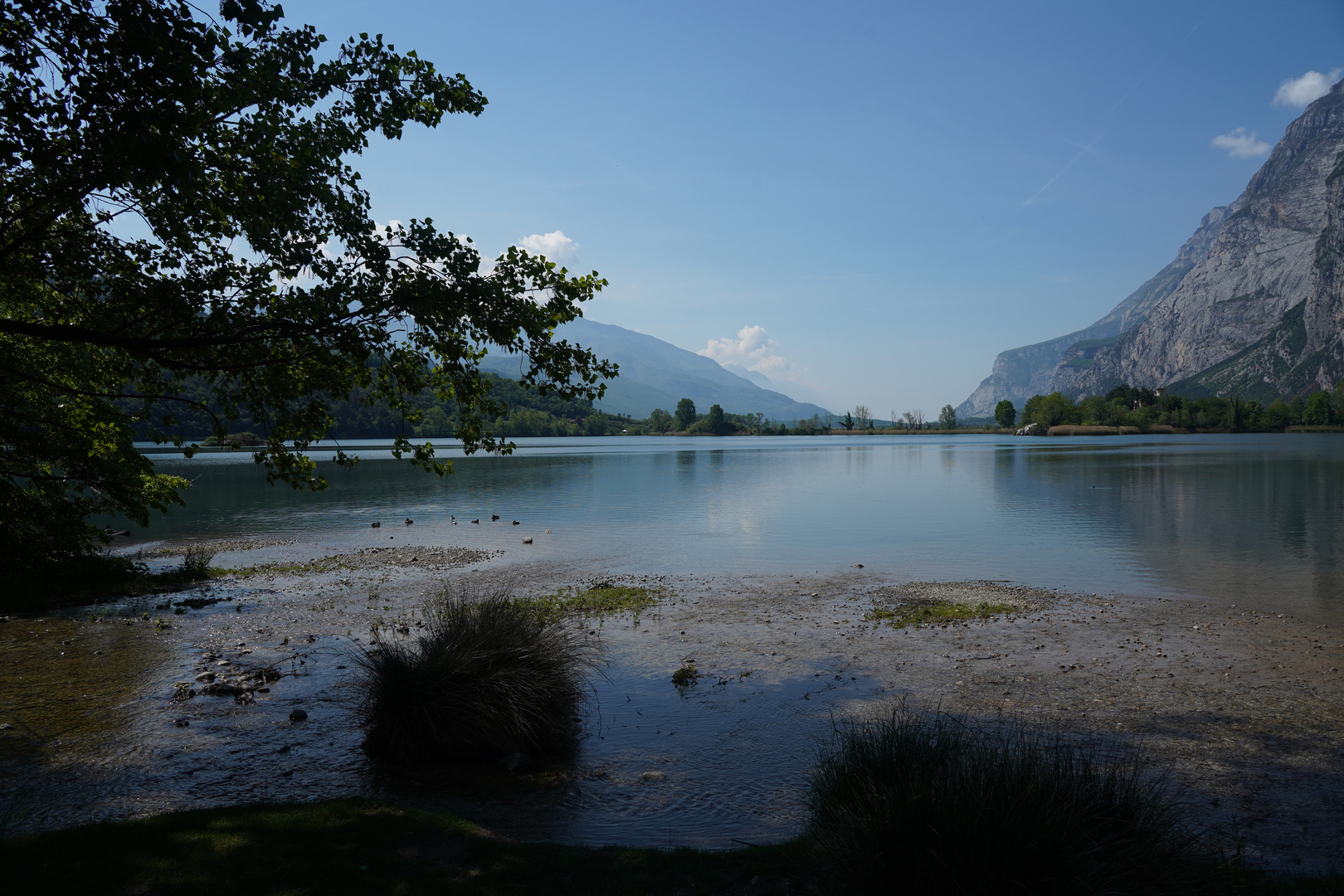 Toblinosee im Frühling