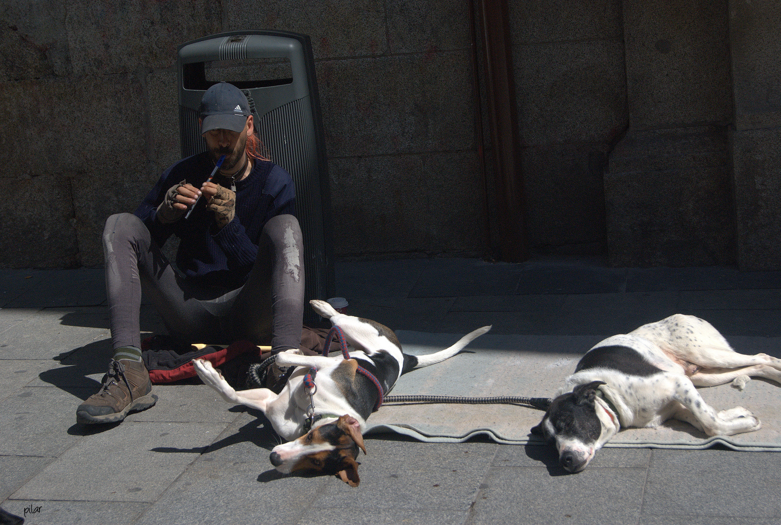 TOCANDO LA FLAUTA