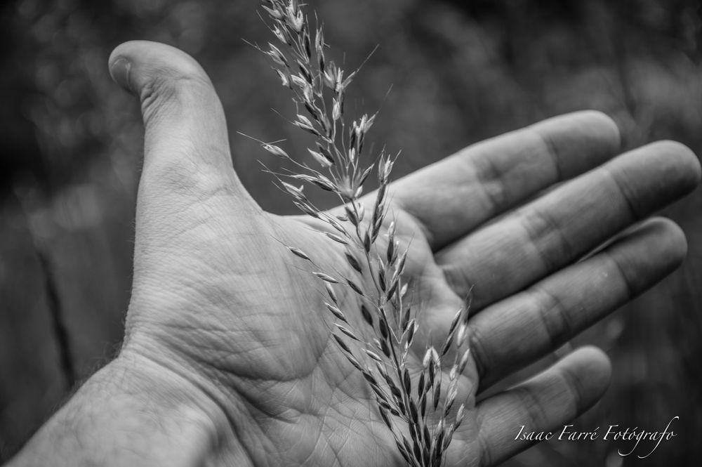 TOCANDO LA NATURALEZA/TOUCHING THE NATURE.