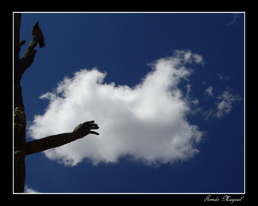 Tocando la Nube