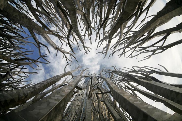 Toccare il cielo con un ramo.....