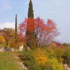 Tocchi di autunno