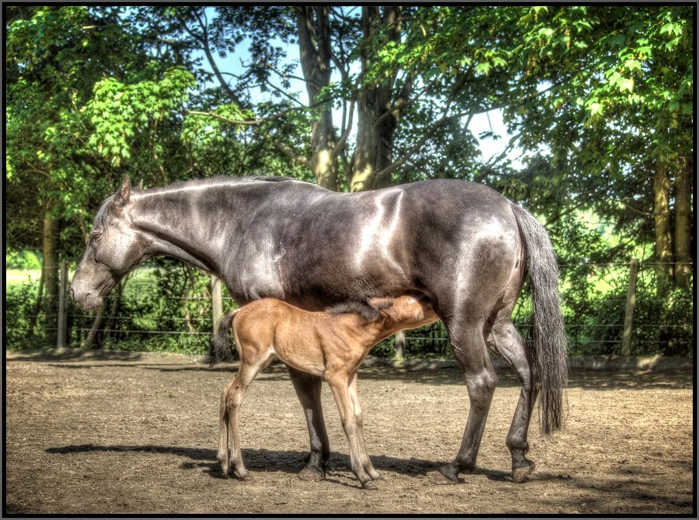 Tochter und Mutter