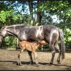 Tochter und Mutter