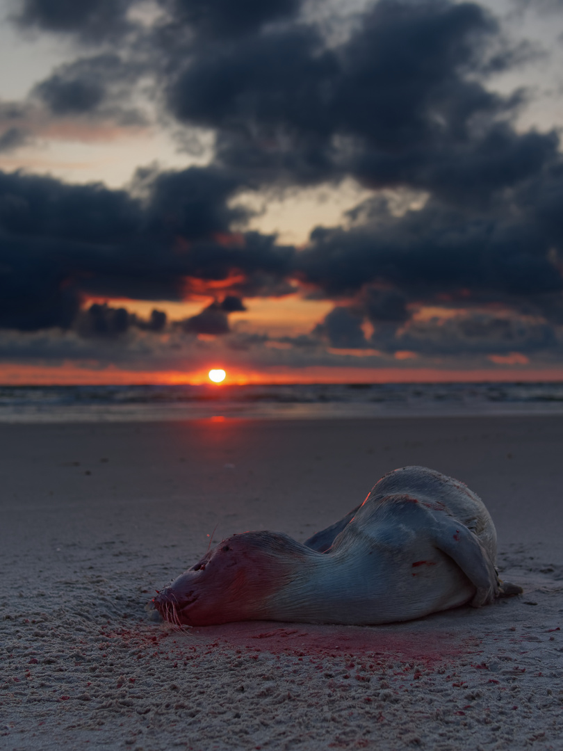 Tod am Strand