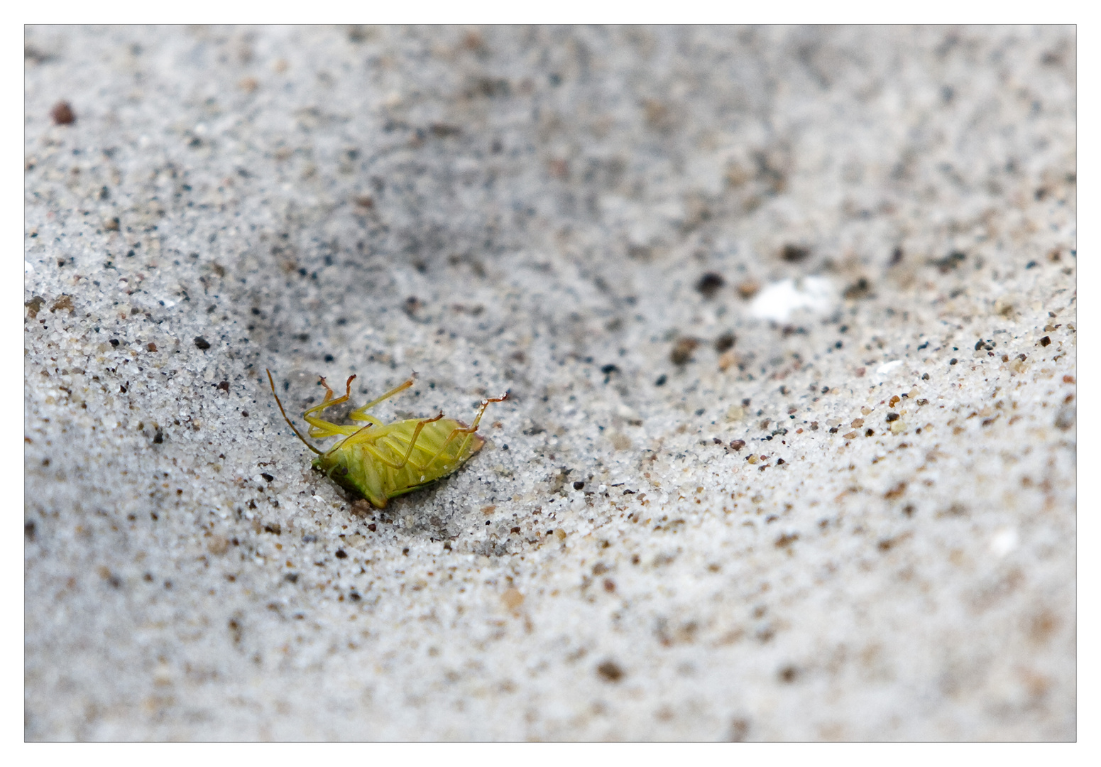 Tod im Sandkasten