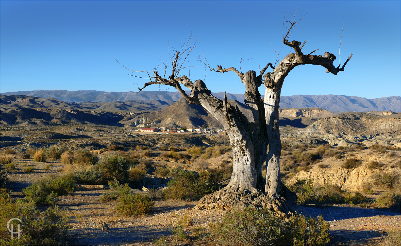 Tod in der Wüste von Tabernas