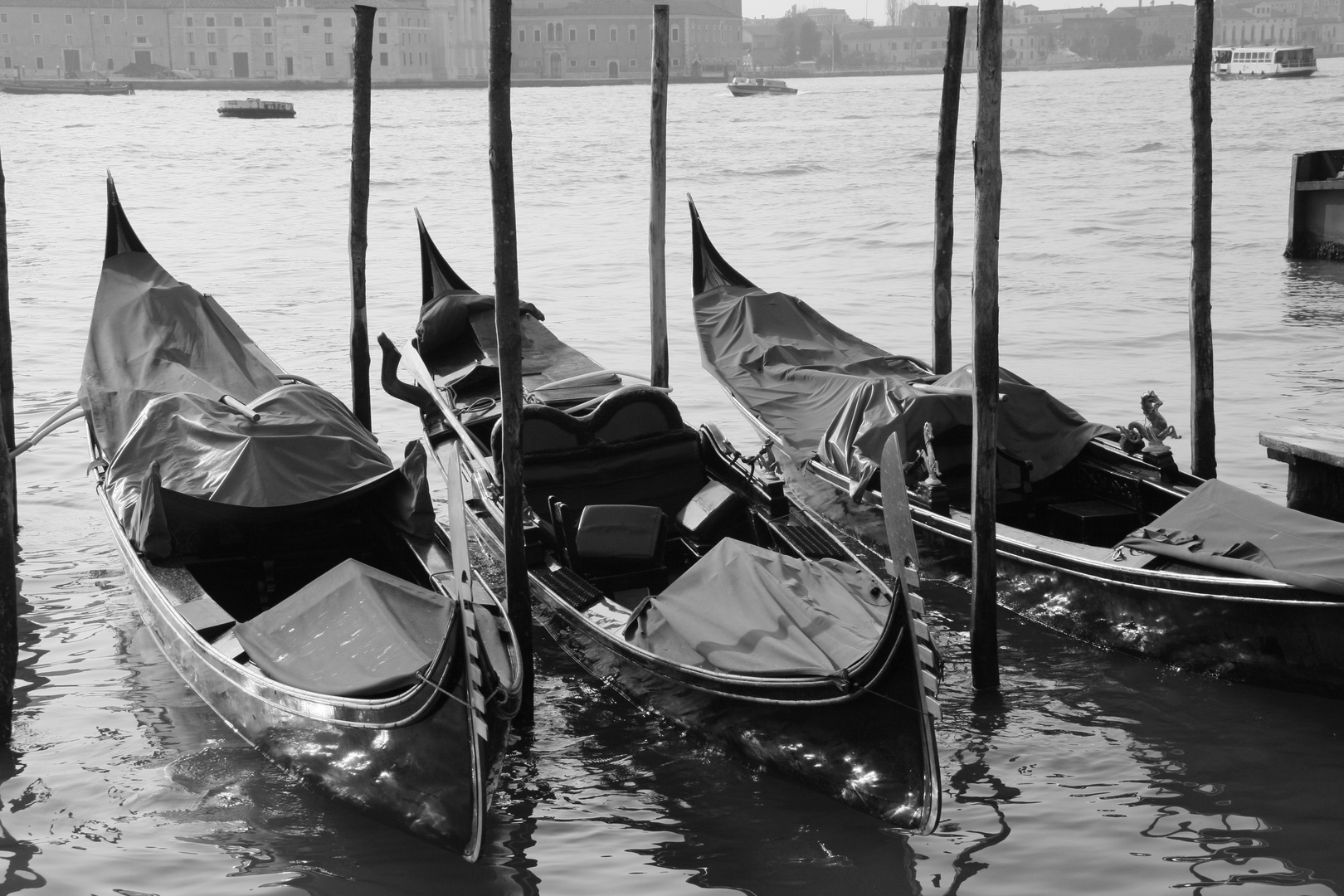 tod in venedig (th. mann)