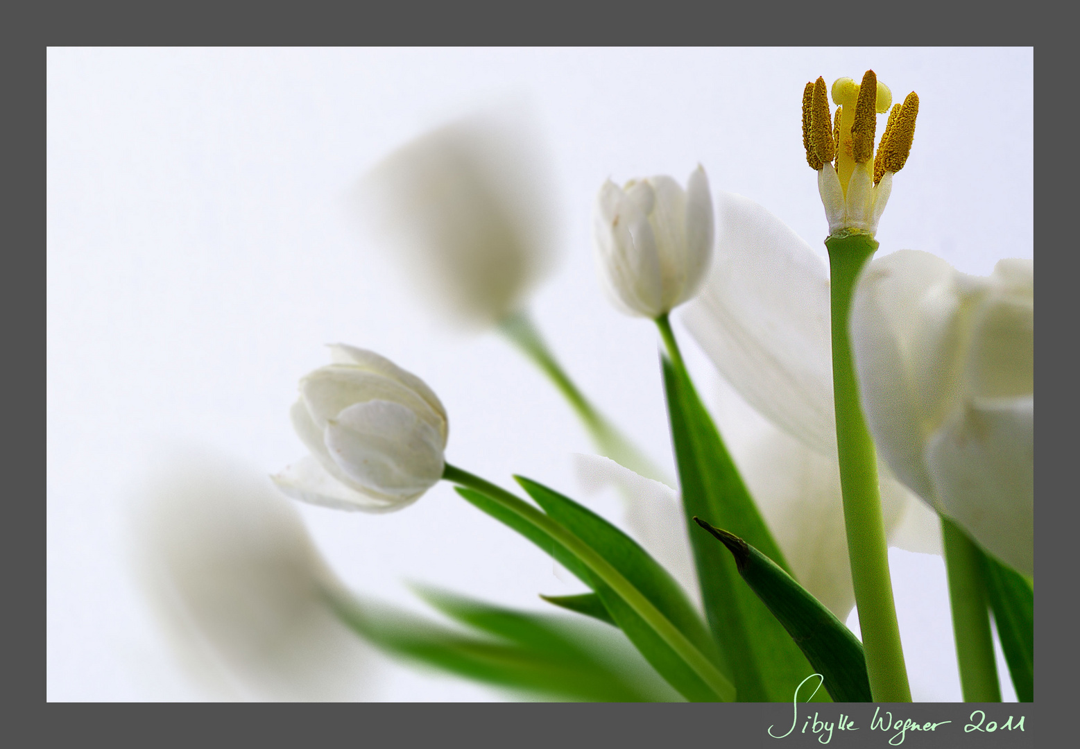 Tod und Auferstehung - Ostern